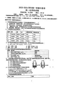 广东省肇庆高新技术产业开发区大旺中学2023-2024学年高一上学期期中考试化学试题