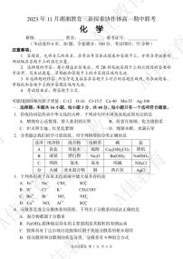 2023湖湘教育三新协作体高一期中联考化学试卷及参考答案含答题卡