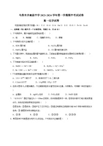 新疆乌鲁木齐高级中学2023-2024学年高一上学期期中考试化学试卷