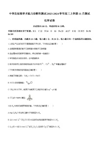 中学生标准学术能力诊断性测试2023-2024学年高三上学期11月测试化学试题（含答案）