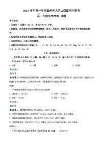 浙江省温州环大罗山联盟2023-2024学年高一上学期11月期中考试化学试题（解析版）