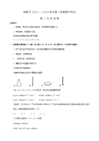 河南省洛阳市2023-2024学年高二上期期中考试化学试题