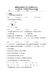 海南省北京师范大学万宁附属中学2021-2022学年高一下学期开学考试化学试题(含答案)