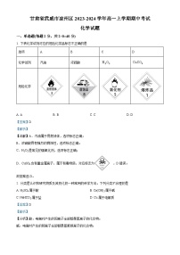 甘肃省武威市凉州区2023-2024学年高一上学期期中化学试题（Word版附解析）