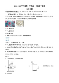 陕西省渭南市2023-2024学年高一上学期11月期中化学试题（解析版）