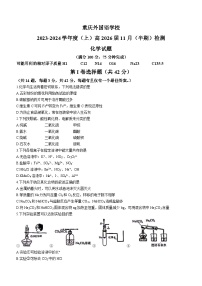 重庆实验外国语学校2023-2024学年高一上学期11月半期检测化学试题