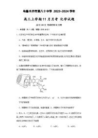 新疆乌鲁木齐市第八十中学 2023-2024学年高三上学期11月月考 化学试卷含答案