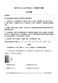 江苏省徐州市2023-2024学年高三上学期期中抽测化学试题（含答案）