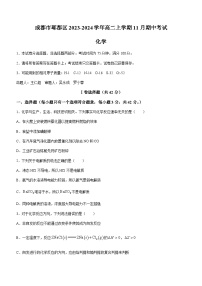 四川省成都市郫都区2023-2024学年高二上学期11月期中考试化学试题（含答案）