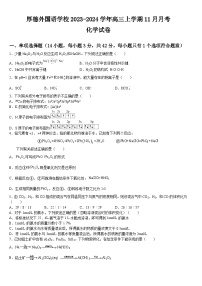 江西省赣州市厚德外国语学校2023-2024学年高三上学期11月月考化学试卷（含答案）