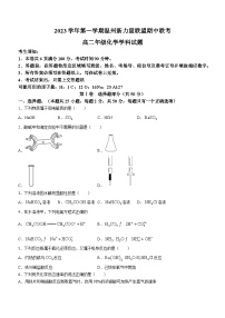 浙江省温州市2023-2024学年温州新力量联盟期中联考高二上学期化学试题卷