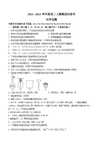 2024周口项城一中高三上学期11月期中考试化学含解析