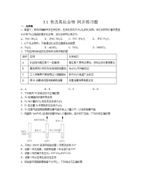 高中化学人教版 (2019)必修 第一册第一节 铁及其化合物精练