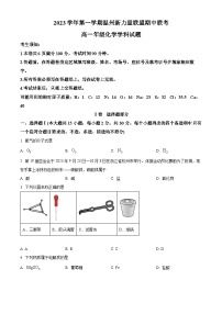 浙江省温州市新力量联盟2023-2024学年高一化学上学期期中联考试题（Word版附解析）