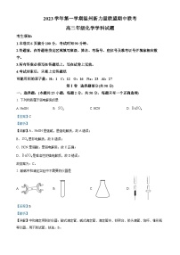 浙江省温州市新力量联盟2023-2024学年高二化学上学期期中联考试题（Word版附解析）