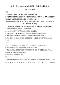 山东省青岛第十九中学2023-2024学年高二上学期期中考试化学试卷（解析版）