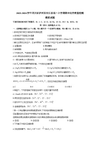 2023-2024学年四川省泸州市合江县高一上学期期中化学质量检测模拟试题（含解析）