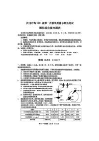 2024泸州高三上学期第一次教学质量诊断性考试理综PDF版含答案（缺化学答案）