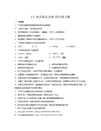 化学必修 第一册第一节 钠及其化合物巩固练习