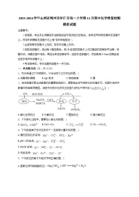 2023-2024学年山西省朔州市怀仁市高一上学期11月期中化学质量检测模拟试题（含解析）