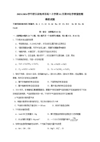 2023-2024学年浙江省杭州市高一上学期11月期中化学质量检测模拟试题（含解析）