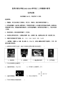 云南省昆明市部分学校2023-2024学年高二上学期期中联考化学试题（含答案）