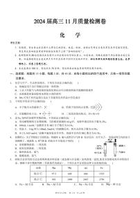 安徽省徽师联盟2024届高三11月质量检测卷化学含解析