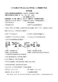 江苏省南京市江宁区部分中学2023-2024学年高三上学期期中考试化学试卷（含答案）