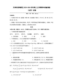 天津市滨海新区2023-2024学年高二上学期期中质量调查化学试题（含答案）