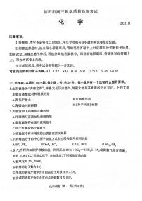 山东省临沂市2024届高三11月教学质量检测化学试卷+答案