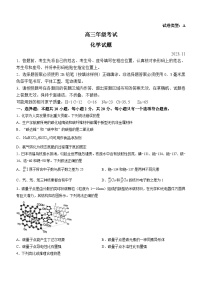 山东省泰安市2023-2024学年高三上学期期中考试化学试题