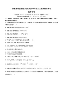 湖北省鄂东南联盟学校2023-2024学年高二上学期期中联考化学试题（含答案）