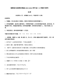 湖南省名校教育联盟2023-2024学年高二上学期中联考化学试卷（含答案）