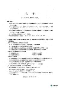 2024河南省新未来联考高三上学期11月月考试题化学PDF版含解析