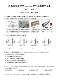 河南省实验中学2023-2024学年高二上学期期中化学试题（Word版附答案）