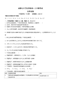 四川省成都七中万达学校2023-2024学年高一上学期11月期中考试化学试题