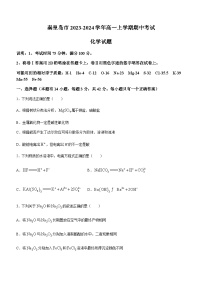 河北省秦皇岛市2023-2024学年高一上学期期中考试化学试题（含答案）