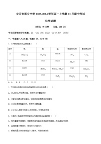 安徽省安庆市部分中学2023-2024学年高一上学期11月期中考试化学试题（含答案）