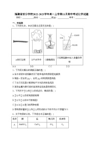 福建省部分学校2022-2023学年高一上学期11月期中考试化学试题(含答案)