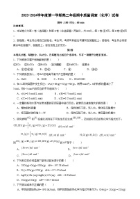 2024天津市实验中学滨海学校高二上学期期中质量调查试题化学含答案