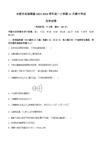 安徽省合肥市名校联盟2023-2024学年高一上学期11月期中考试化学试题（含答案）