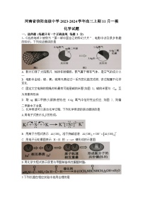 河南省信阳市信阳高级中学2023-2024学年高三上学期11月第一次模拟化学试题（Word版附答案）