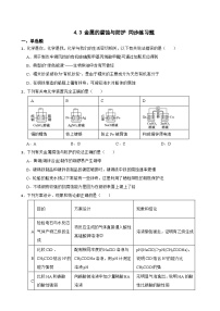 人教版 (2019)选择性必修1第四章 化学反应与电能第三节 金属的腐蚀与防护课后复习题