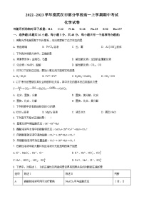 2023武汉黄陂区部分学校高一上学期期中联考化学试题含解析