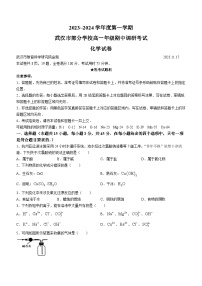 2024武汉部分学校高一上学期期中联考化学试题含答案