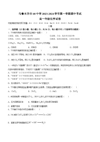 新疆乌鲁木齐市第六十八中学2023-2024学年高一上学期期中考试化学试卷