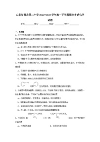 山东省青岛第二中学2022-2023学年高一下学期期末考试化学试题