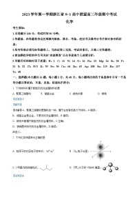 浙江省91高中联盟2023-2024学年高三上学期期中考试化学试题（Word版附解析）