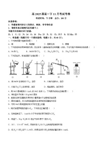 四川省达州外国语学校2023-2024学年高一上学期11月月考化学试题