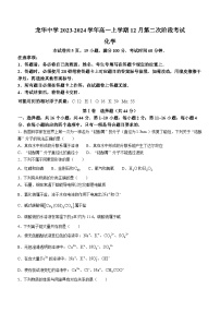 广东省深圳市龙华中学2023-2024学年高一上学期12月第二次阶段考试化学试题（含答案）